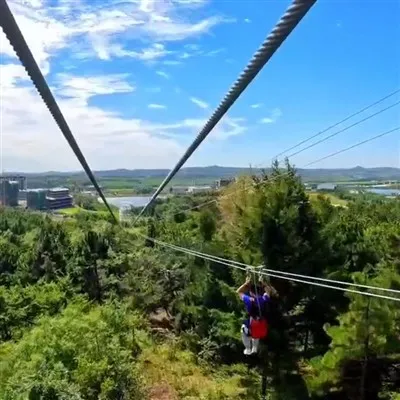 Downhill Flying Txiv neej